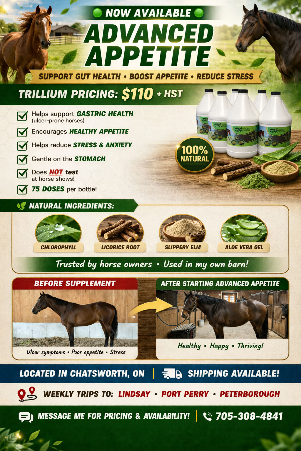 Advanced Appetite for Horse Ulcer and Gut Support