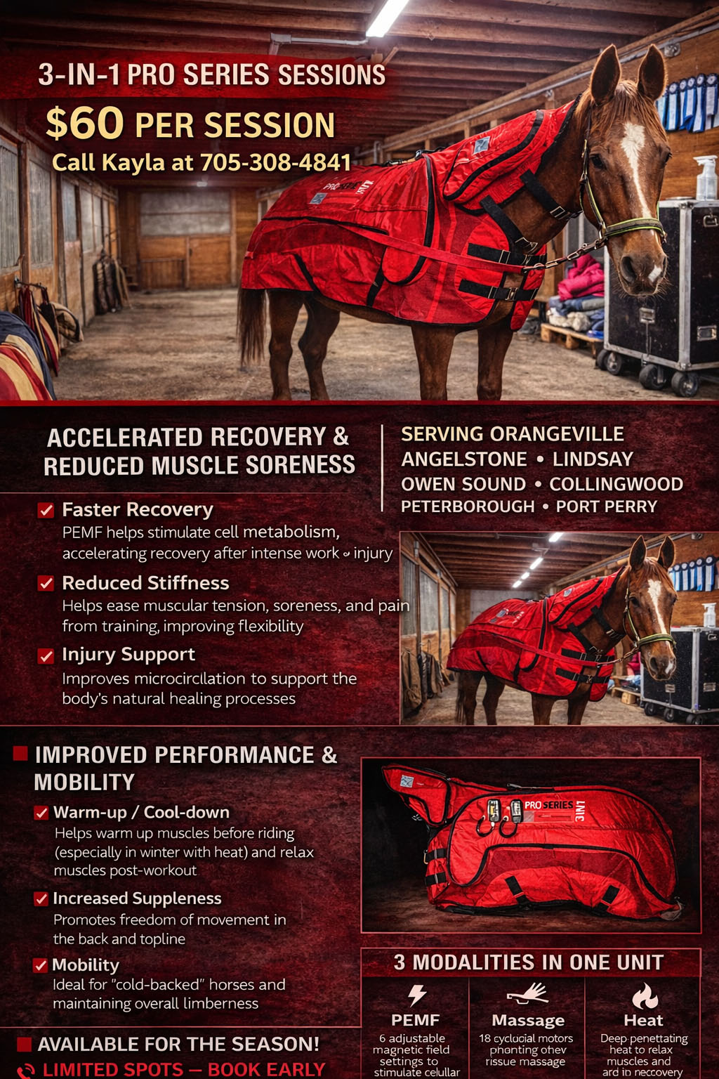 3-in-1 Pro Series Blanket Sessions: PEMF, Heat and Massage