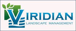 Viridian Landscape Management